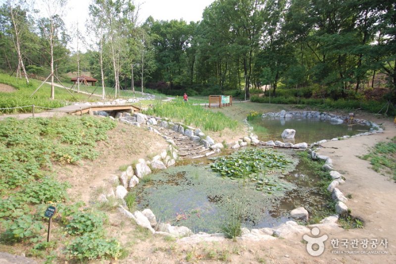 Gwanaksan Mountain Ecological Park (관악산 생태공원) (6/6)