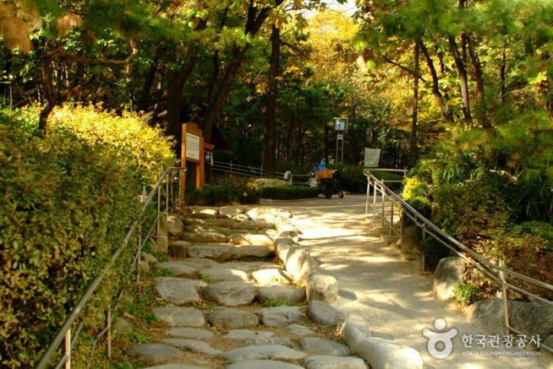 Cheongdam Park  (1/17)