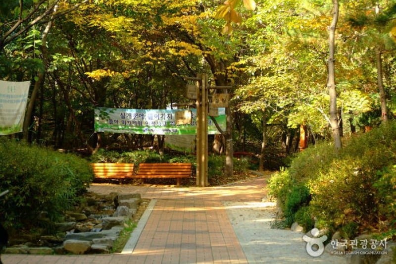Cheongdam Park  (2/17)