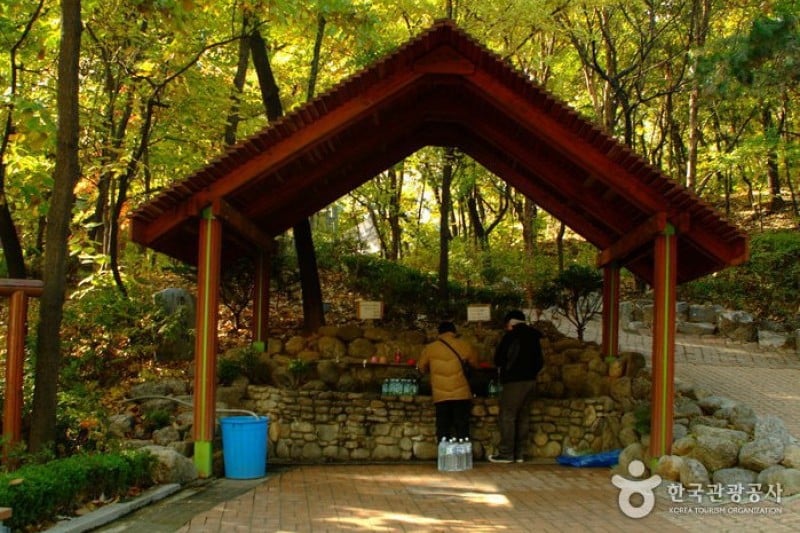 Cheongdam Park  (3/17)