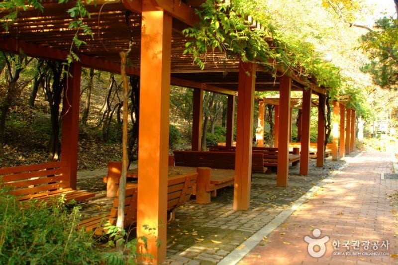 Cheongdam Park  (5/17)