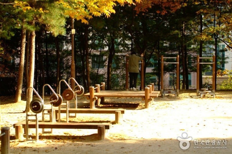 Cheongdam Park  (6/17)