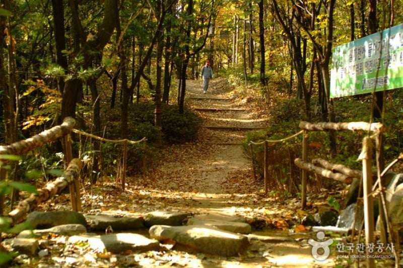 Cheongdam Park  (8/17)