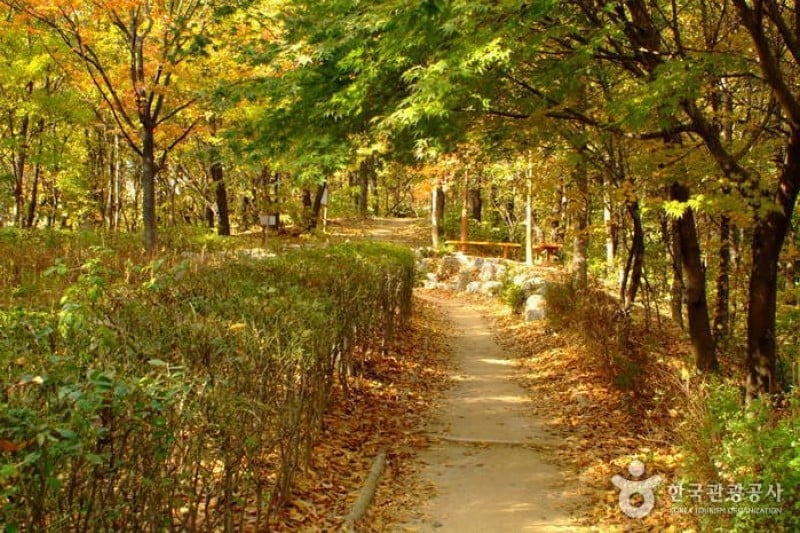Cheongdam Park  (10/17)
