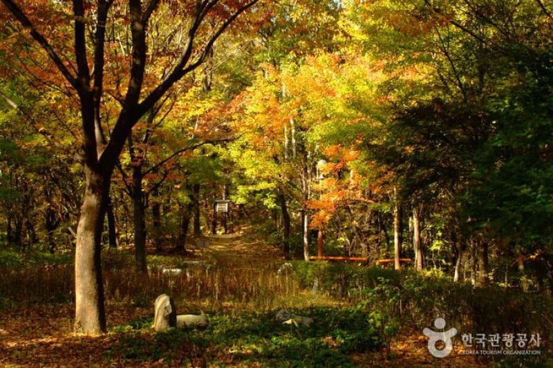 Cheongdam Park  (11/17)
