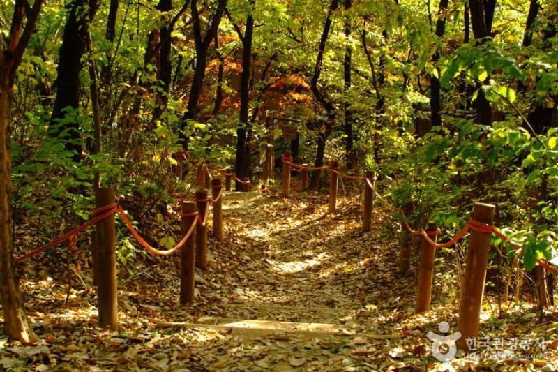 Cheongdam Park  (12/17)