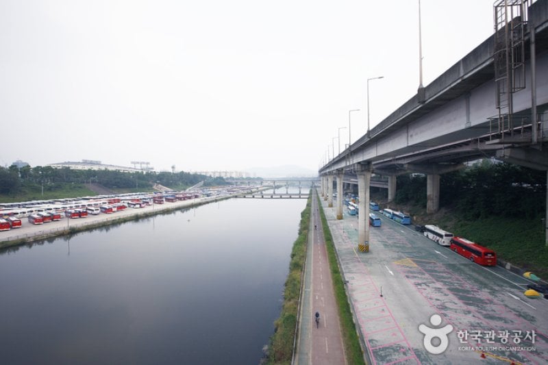Tancheon Stream (탄천) (1/7)