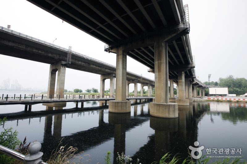 Tancheon Stream (탄천) (3/7)