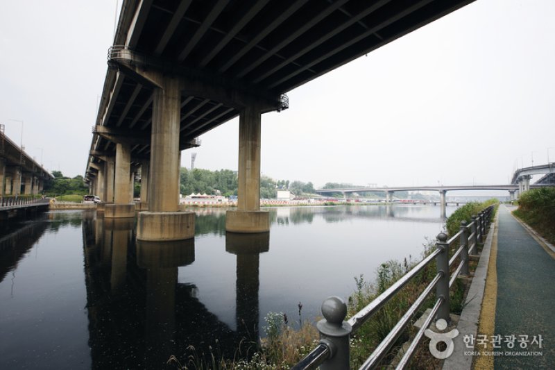 Tancheon Stream (탄천) (5/7)