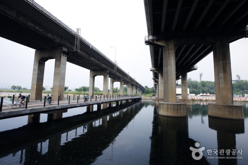 Tancheon Stream (탄천) (7/7)