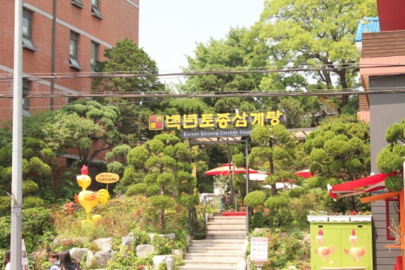 Baengnyeon Samgyetang Bukchon branch (6/15)