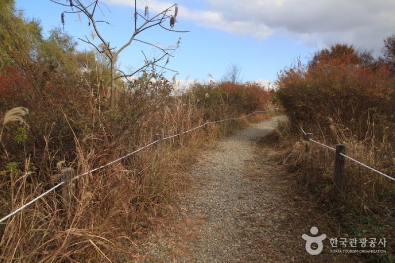 Godeok-dong Eco-scape Preservation Area  (1/5)