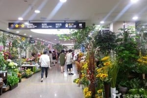 Express Bus Terminal Wholesale Flower Market 