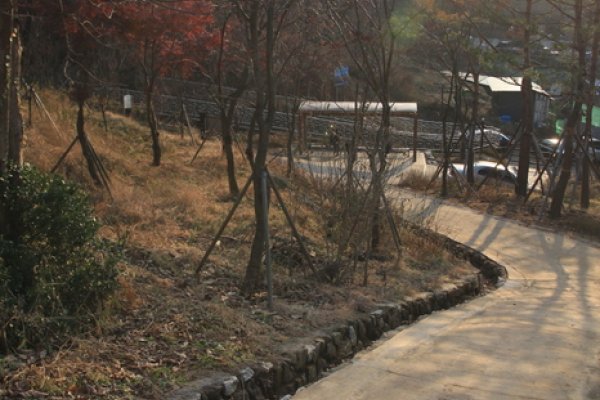 Mangusan Mountain