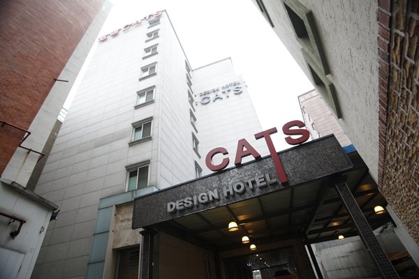 Hotel Cats