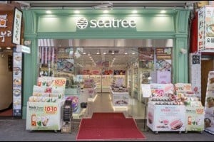 Seatree -  Myeong-dong UNESCO Branch 