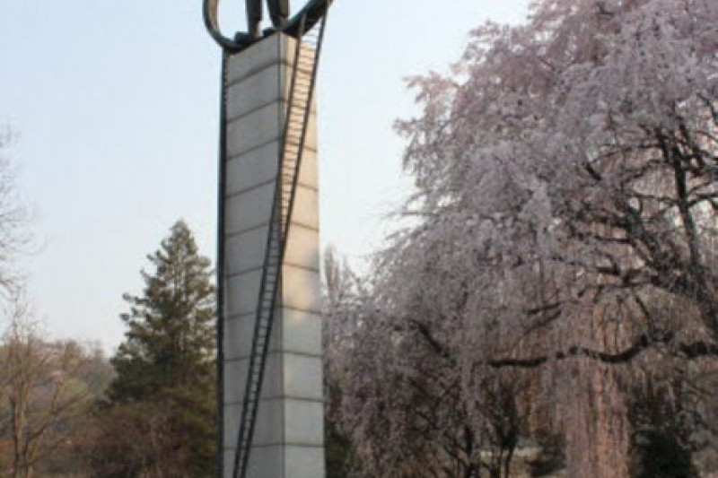 Seoul National Cemetery Event with Weeping Cherry Blossoms  (2/5)