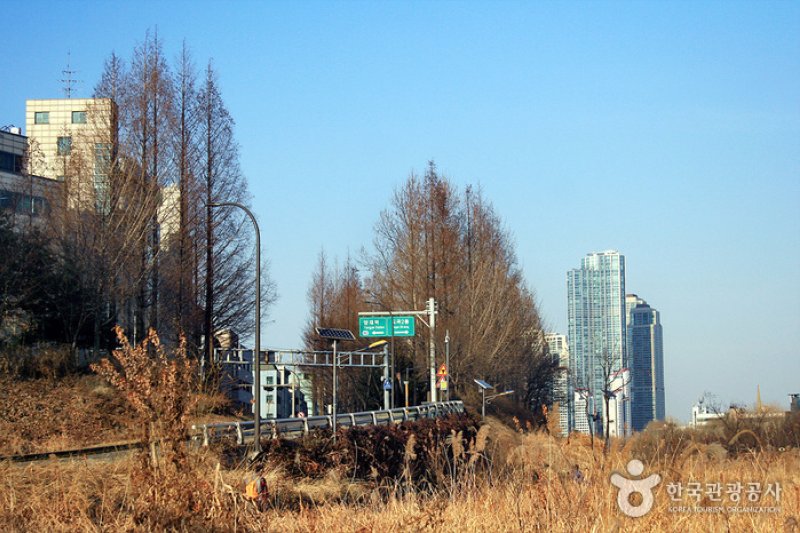 Yangjaecheon Ecological Park (양재천 생태공원) (1/4)