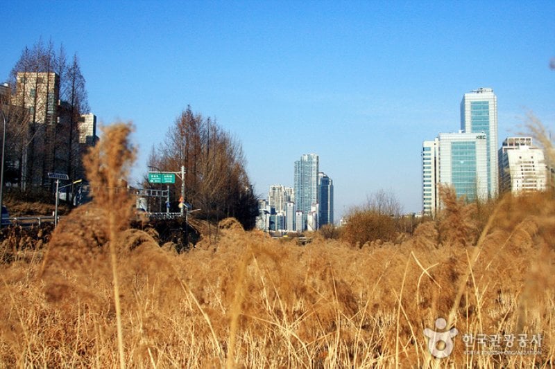 Yangjaecheon Ecological Park (양재천 생태공원) (3/4)