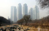 Yangjaecheon Ecological Park (양재천 생태공원)