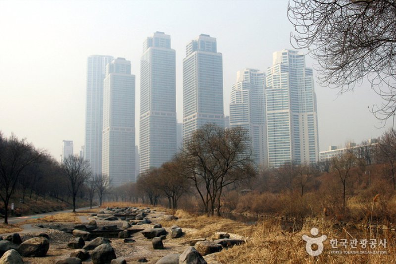 Yangjaecheon Ecological Park (양재천 생태공원) (4/4)