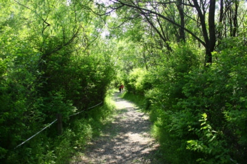Godeok Riverside Ecological Park  (1/2)