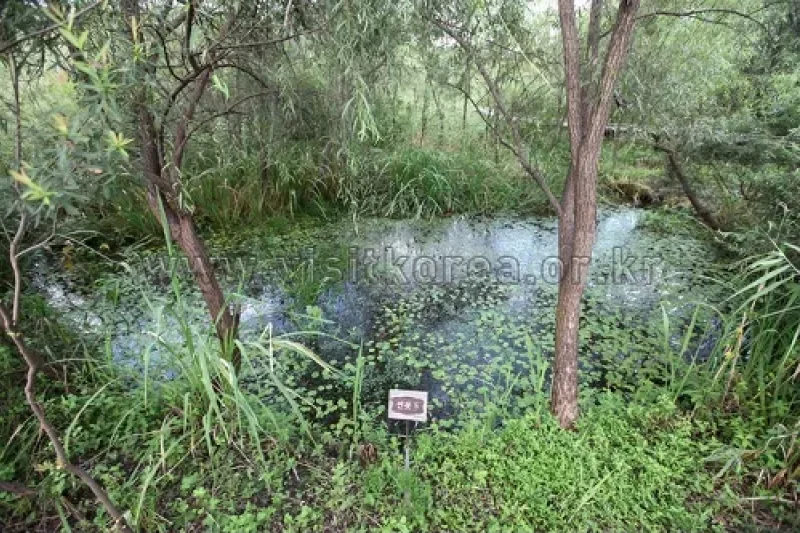 Gildong Ecological Park (길동 자연생태공원) (1/8)