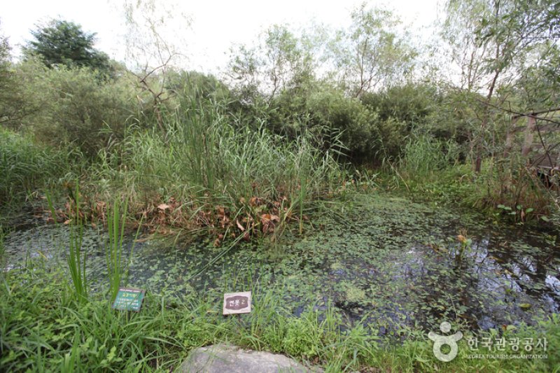 Gildong Ecological Park (길동 자연생태공원) (2/8)
