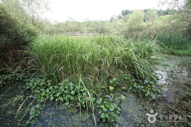 Gildong Ecological Park (길동 자연생태공원) (4/8)