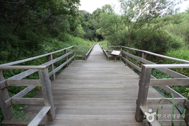 Gildong Ecological Park (길동 자연생태공원) (5/8)