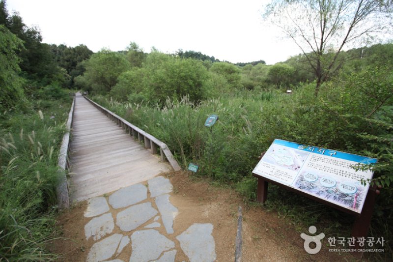 Gildong Ecological Park (길동 자연생태공원) (8/8)