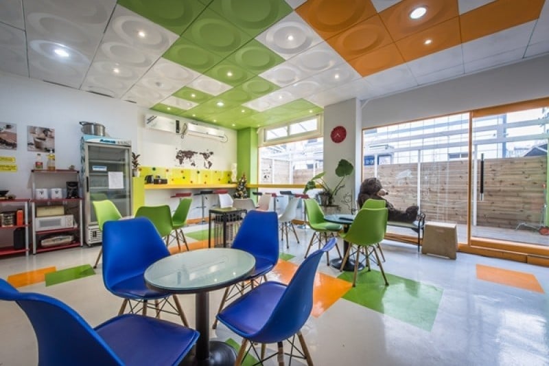 Hostel Korea6 - Goodstay  (19/25)
