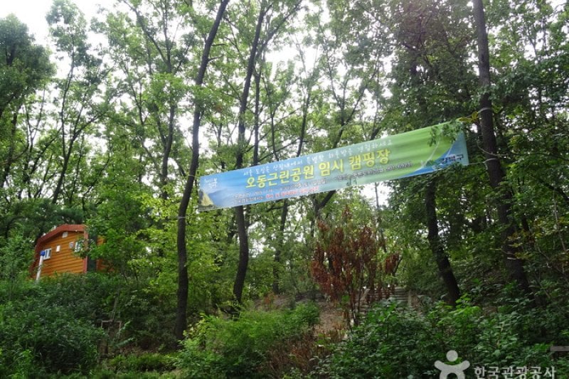 Odong Neighborhood Park  (3/8)
