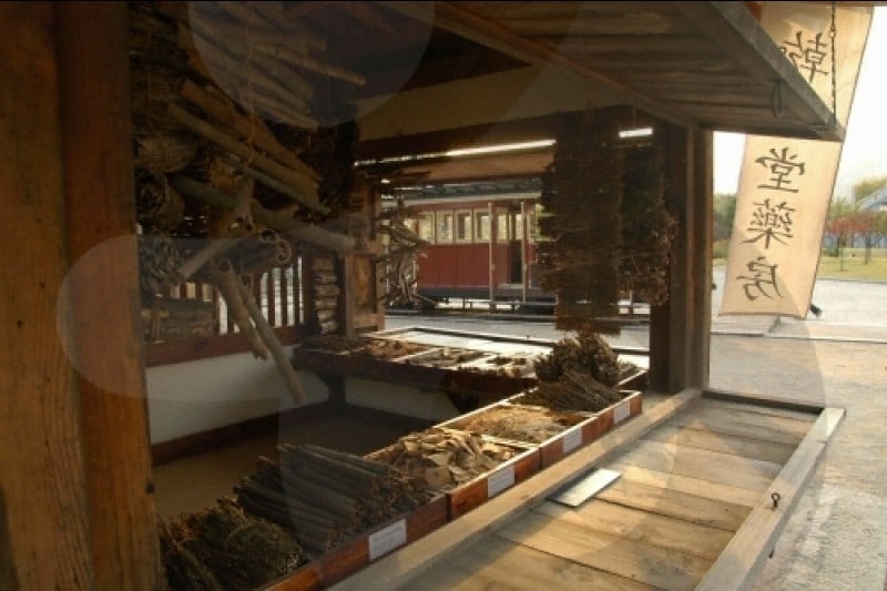Chuseok Feast of National Museum of Korea  (2/4)
