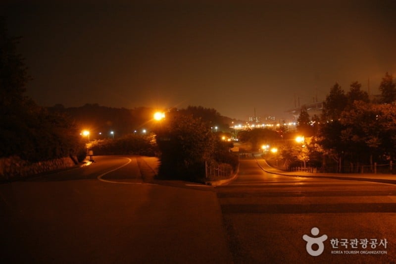 Haneul Park (하늘공원) (3/25)