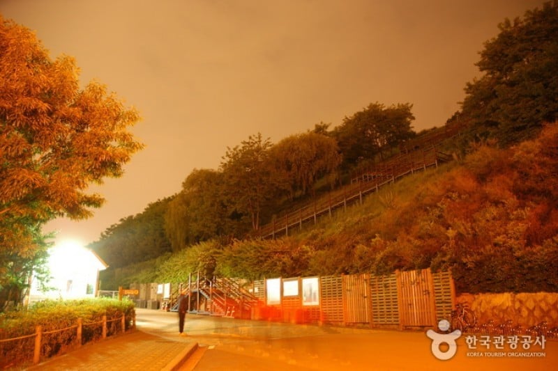 Haneul Park (하늘공원) (4/25)