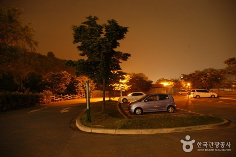 Haneul Park (하늘공원) (5/25)