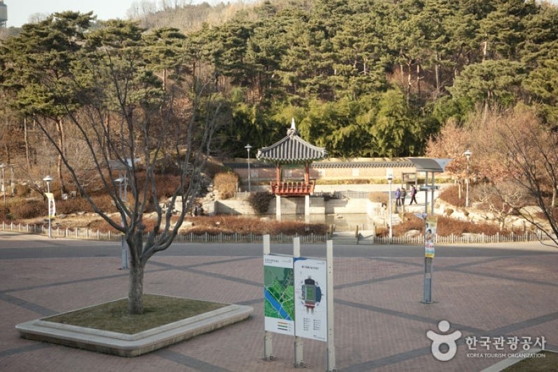 Haneul Park (하늘공원) (6/25)