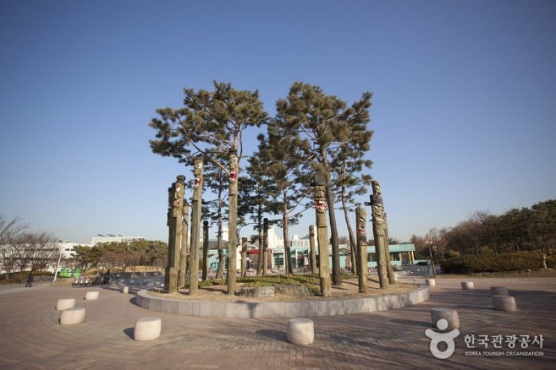 Haneul Park (하늘공원) (12/25)