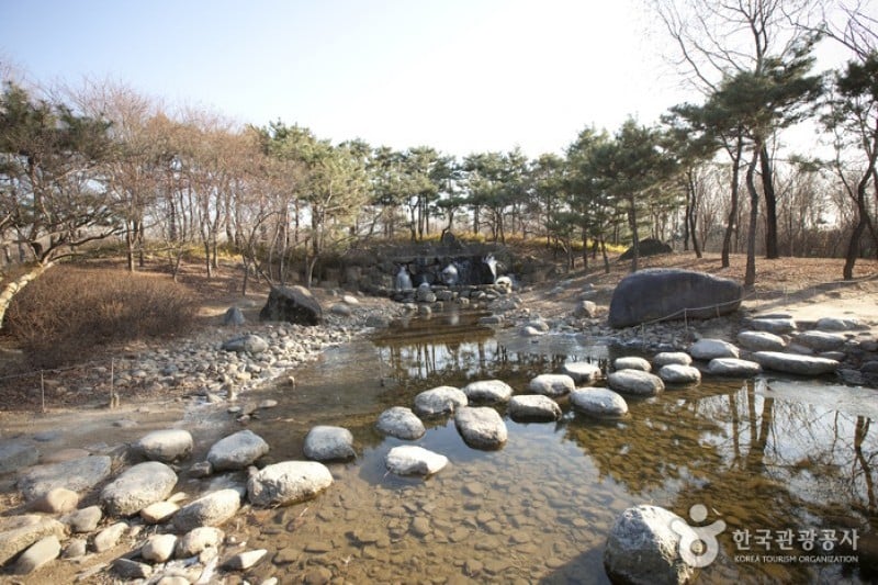 Haneul Park (하늘공원) (13/25)