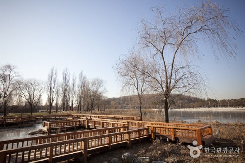 Haneul Park (하늘공원) (14/25)
