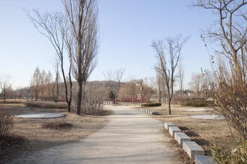 Haneul Park (하늘공원) (15/25)