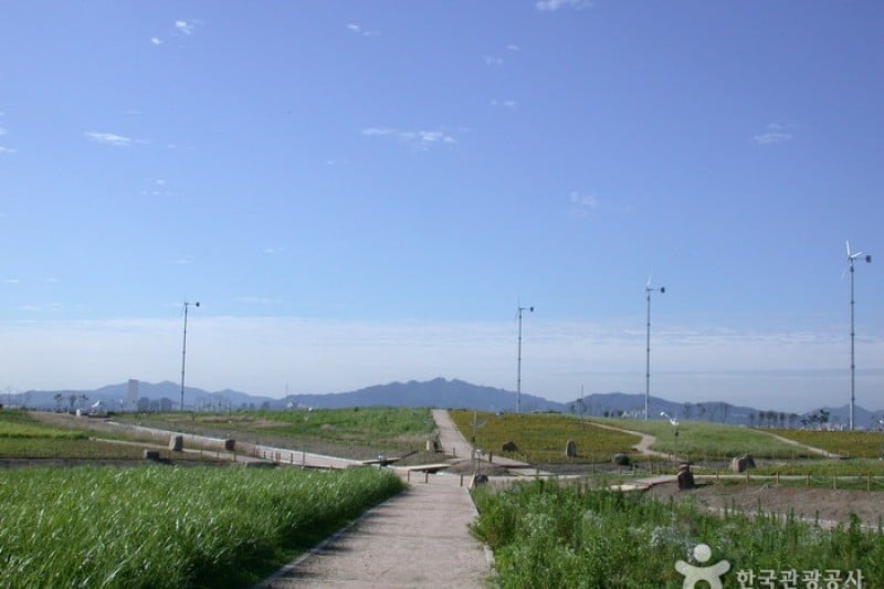 Haneul Park (하늘공원) (18/25)