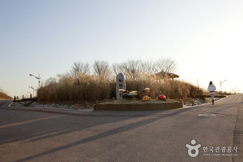 Haneul Park (하늘공원) (19/25)