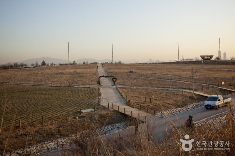Haneul Park (하늘공원) (21/25)