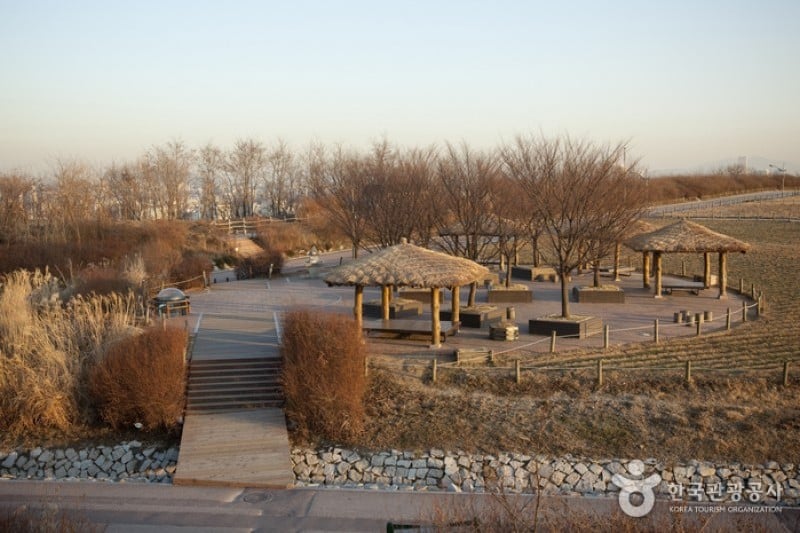Haneul Park (하늘공원) (22/25)