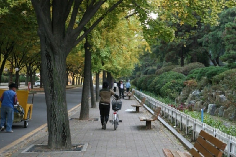 Boramae Park  (2/5)