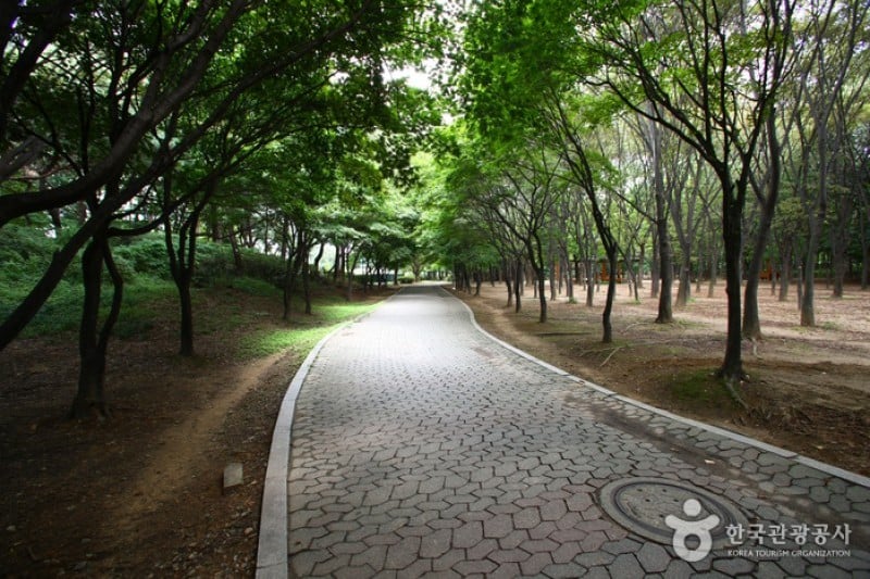 Yangjae Citizens' Park  (1/85)