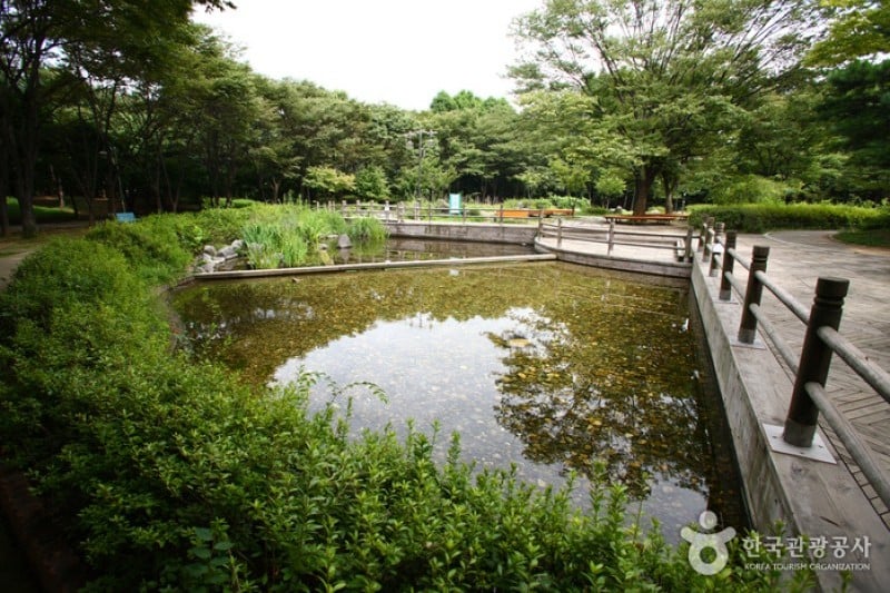 Yangjae Citizens' Park  (4/85)