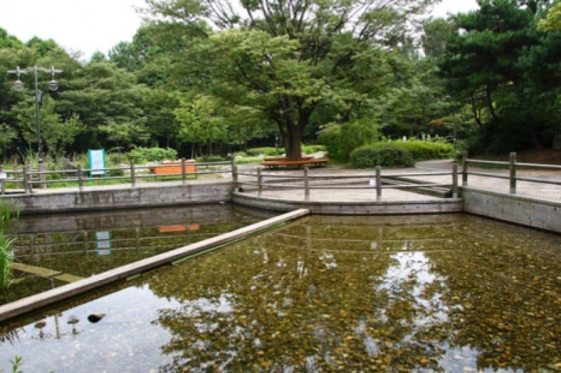 Yangjae Citizens' Park  (5/85)